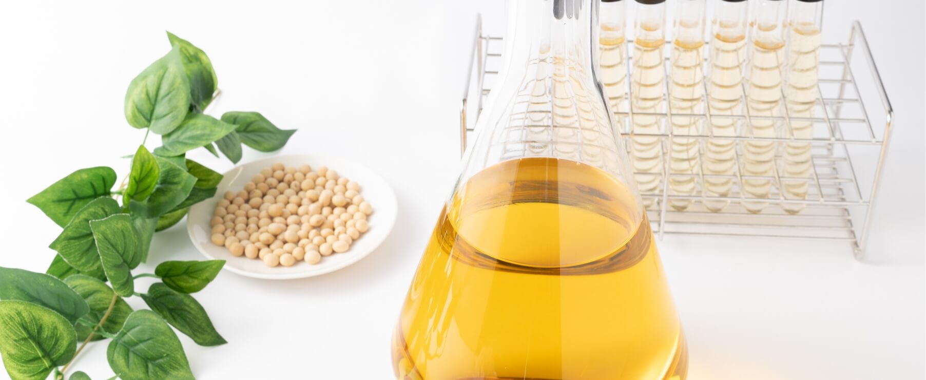 『21種の乳酸菌・ビフィズス菌』と『国産有機大豆』培地の発酵過程でうまれる発酵代謝産物を抽出したエキス